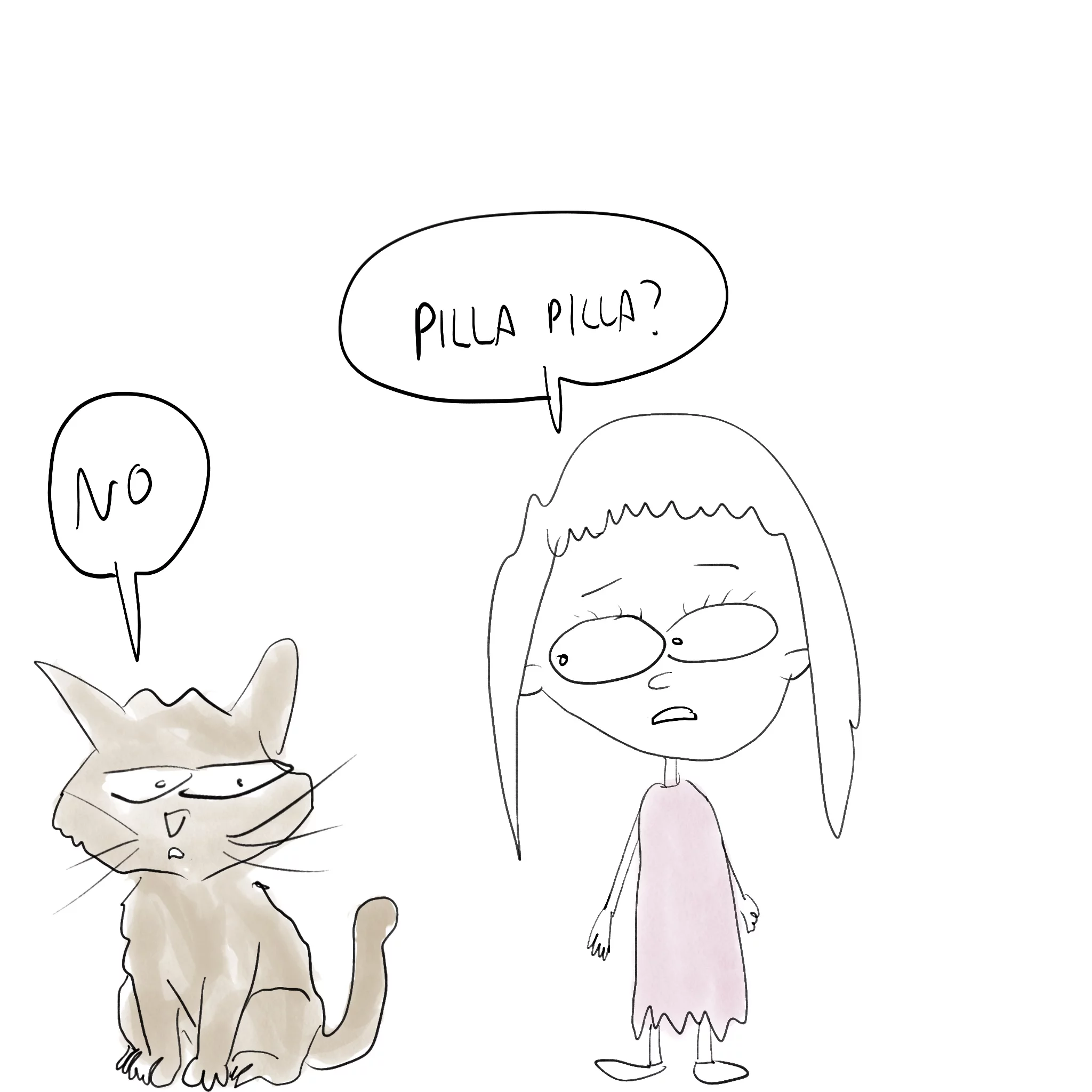 gato